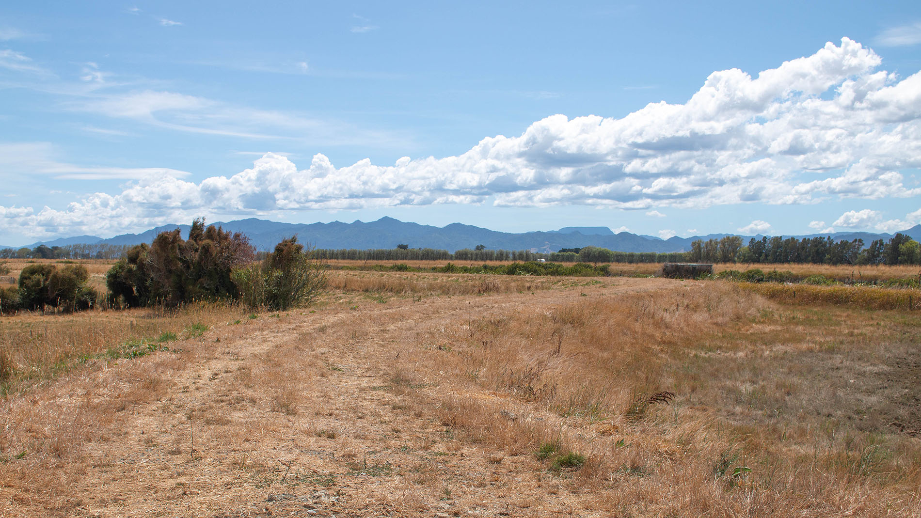 Drought landscape