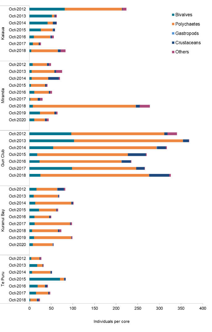 Firth of Thames sediment-dwelling organisms graph