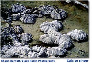 Photo of calcite sinter at Ngatamariki