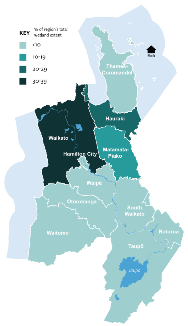 Map showing the extent of wetlands in Waikato region