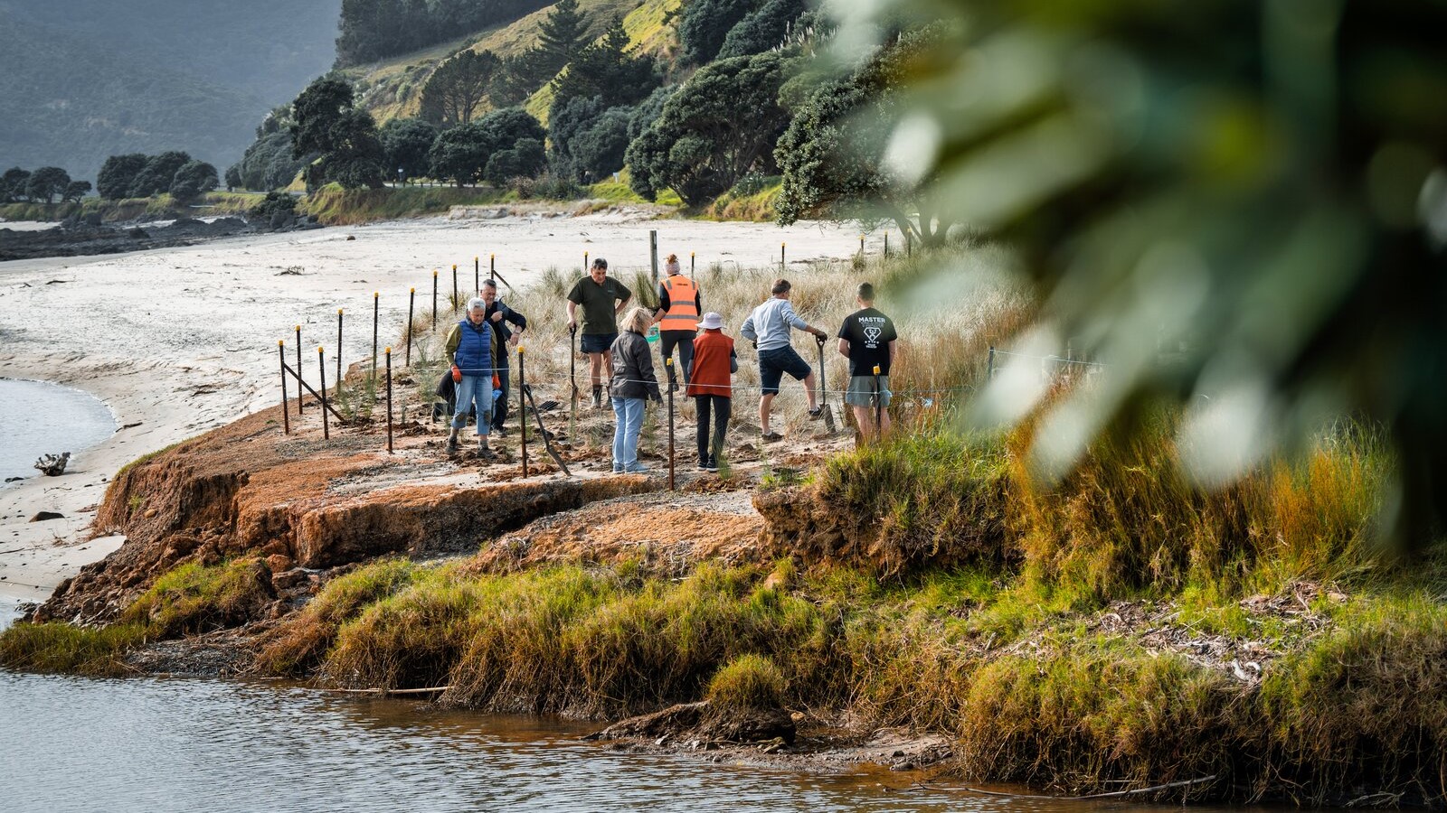 Community coastcare planting group