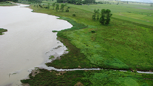 Image of a lake and it's edge looking down from a helicopter