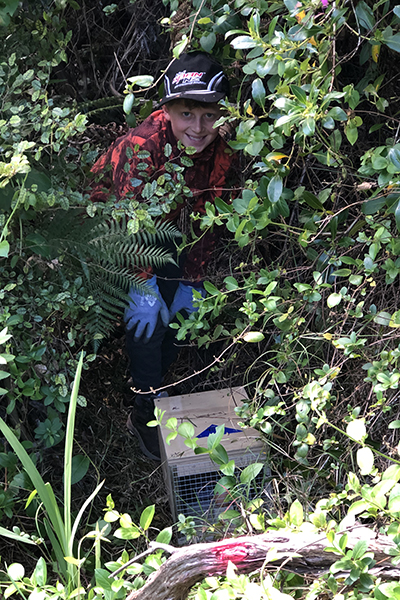 There are now 27 trap lines that are checked regularly by a small but dedicated group of 17 volunteers. 