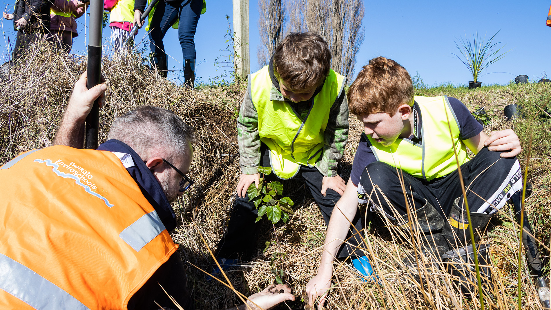 Image - Waikato Enviroschools planting at Te Poi - upper Waiomou Stream