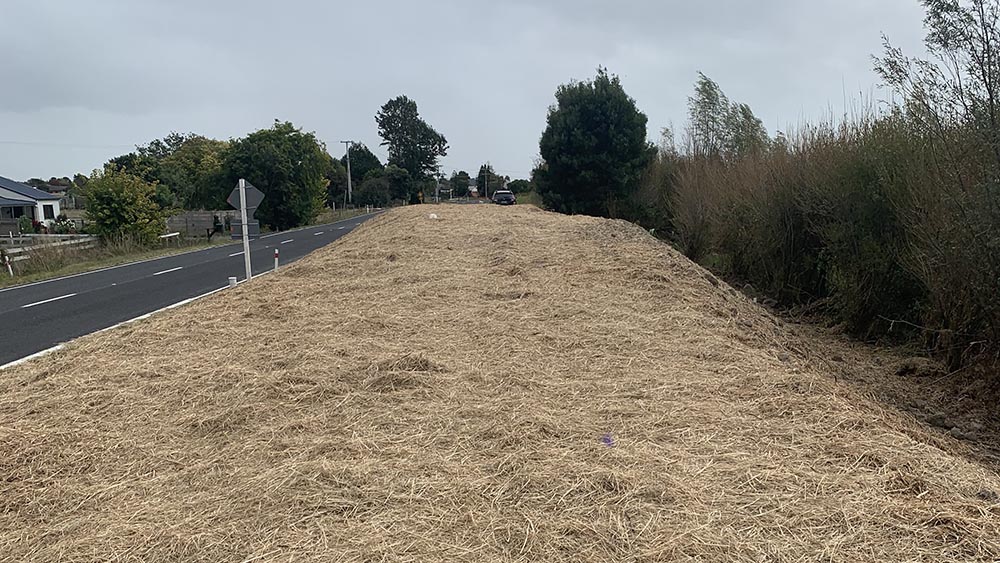 Trial upgrade completed, with the stopbank covered in hay for erosion protection while grass grows underneath.