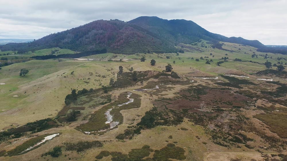 Aerial shot: Wilding pine control work at Tauhara.