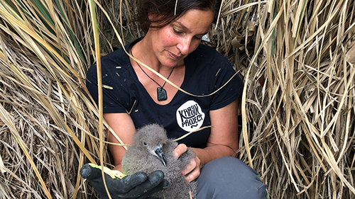 A photo of a lady holding a fluffy chick