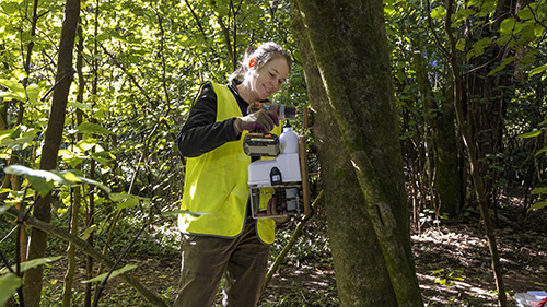 Funding will go towards installing AT220 traps to target the possums and rats.