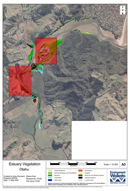 Estuary Vegetation Otahu map