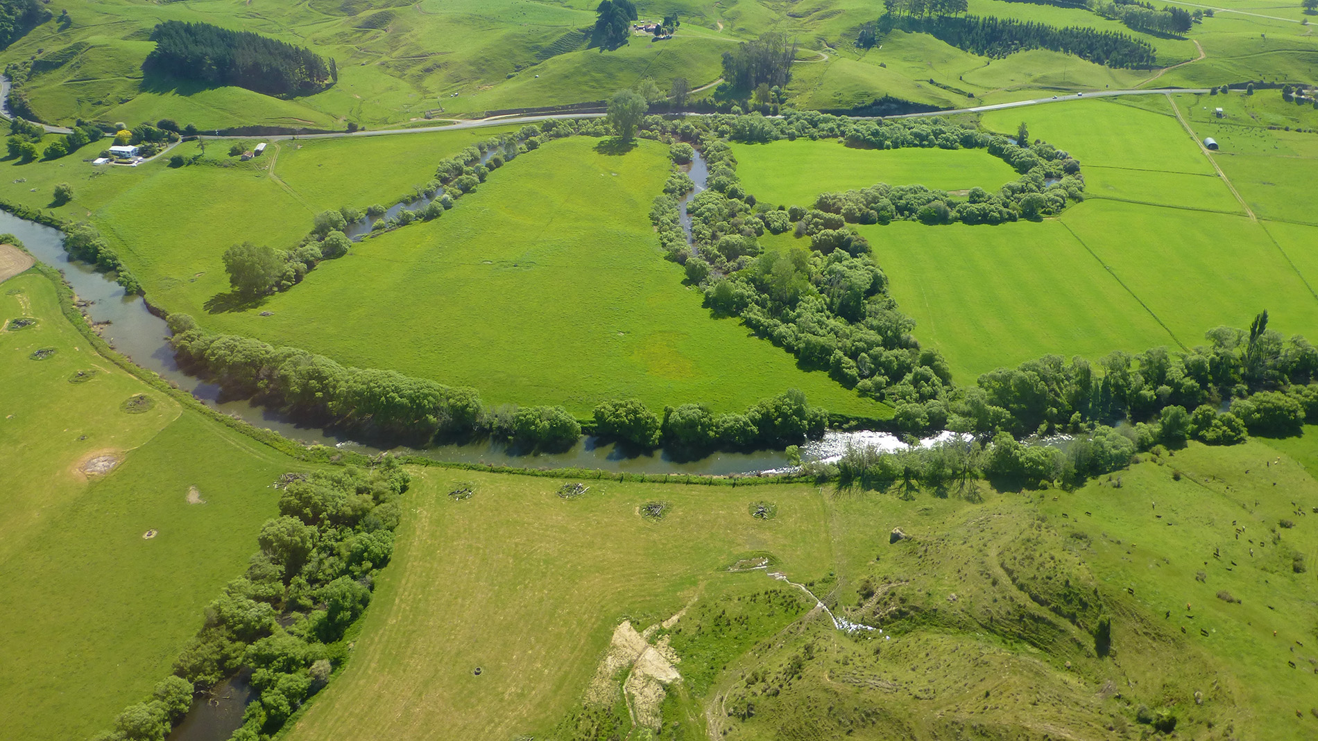 Image of Waipā River (aerial)