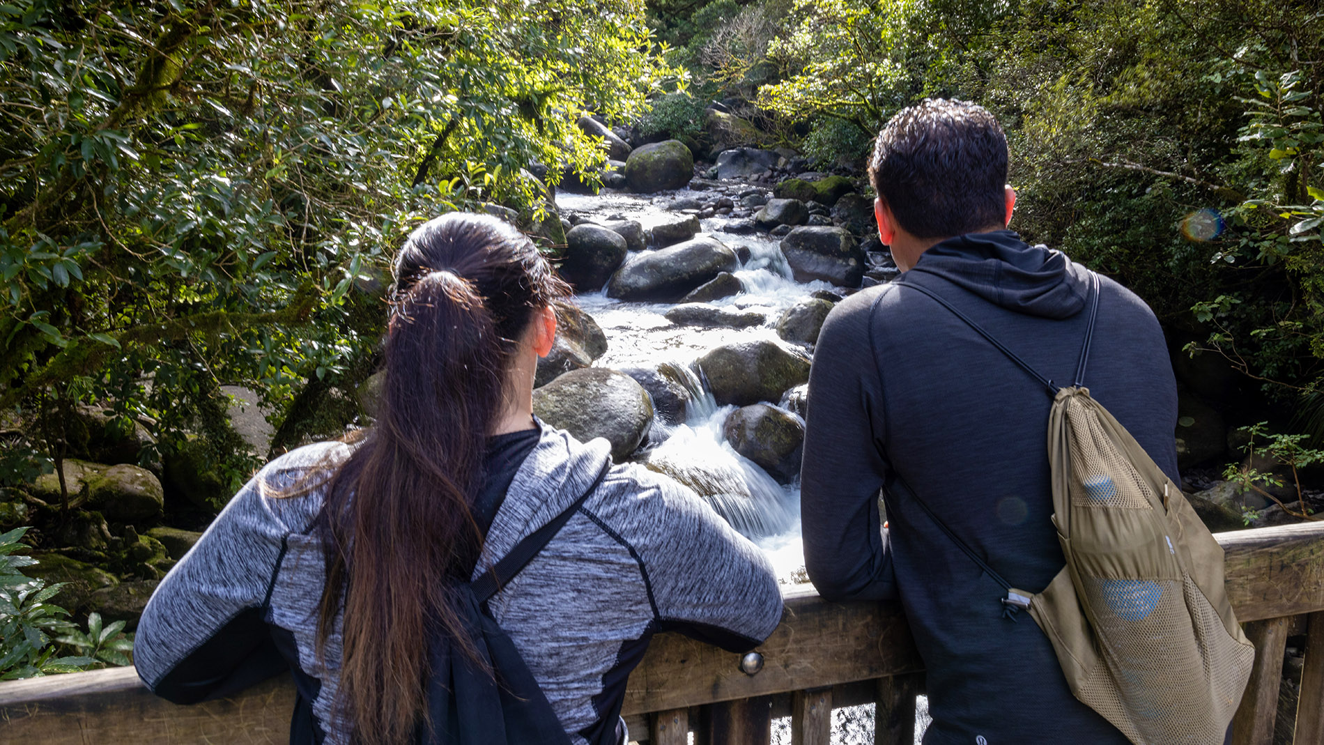 Image of people on bush walk