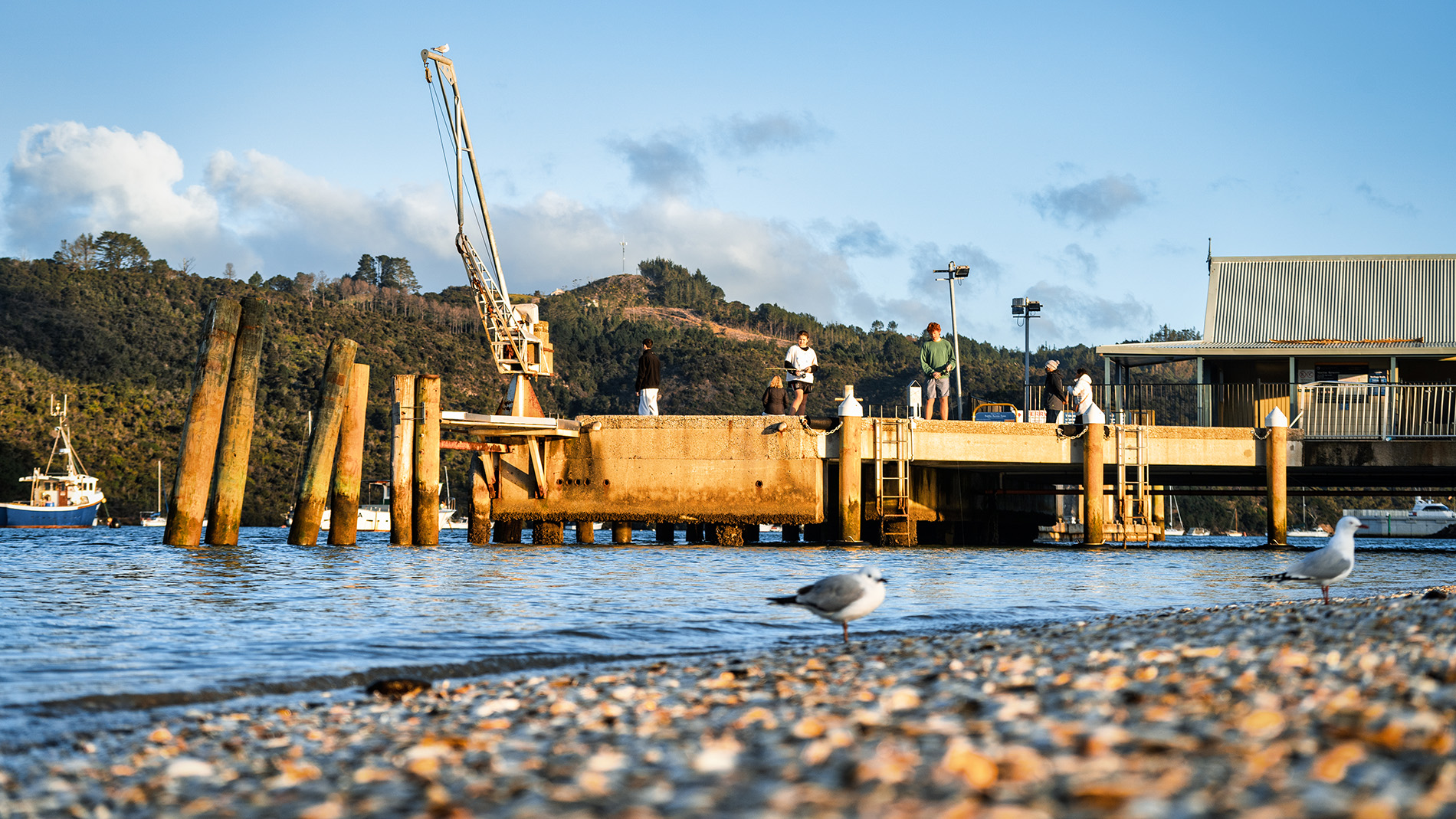 Image of Whitianga Wharf