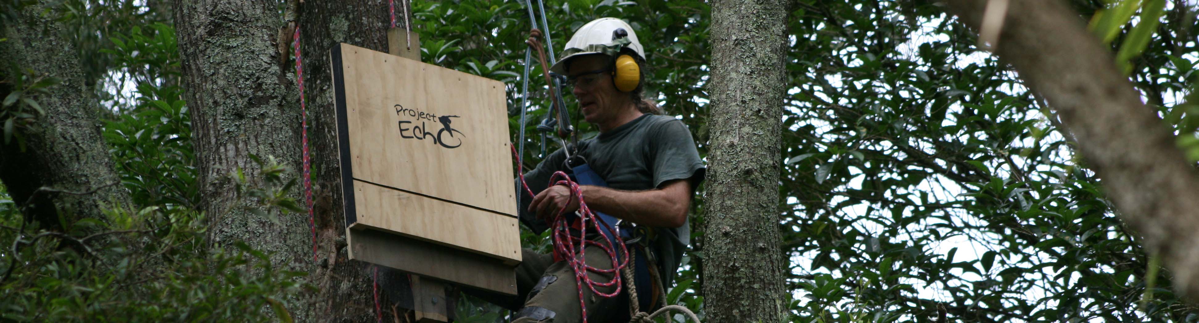 Image - bat roosting box