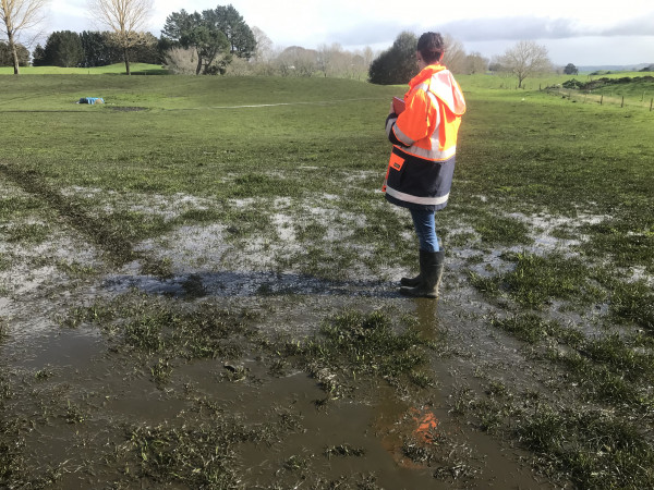 Waikato Regional Council officer inspecting extent of over application of effluent.