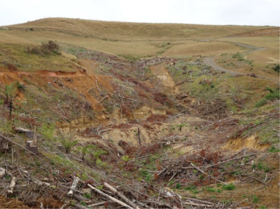 Typical valley with stream covered by forestry slash waste and tracking side cast soil.