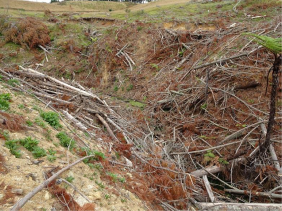 Typical example of forestry slash waste in stream.