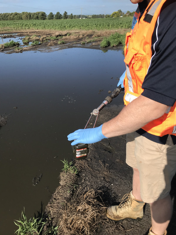 Ponded effluent on neighbouring property from over-irrigation. 