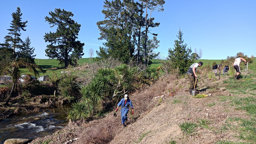 People planting 2022.