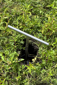 A photo of a peat depth probe in the ground